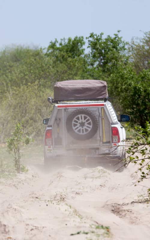 Game Drive